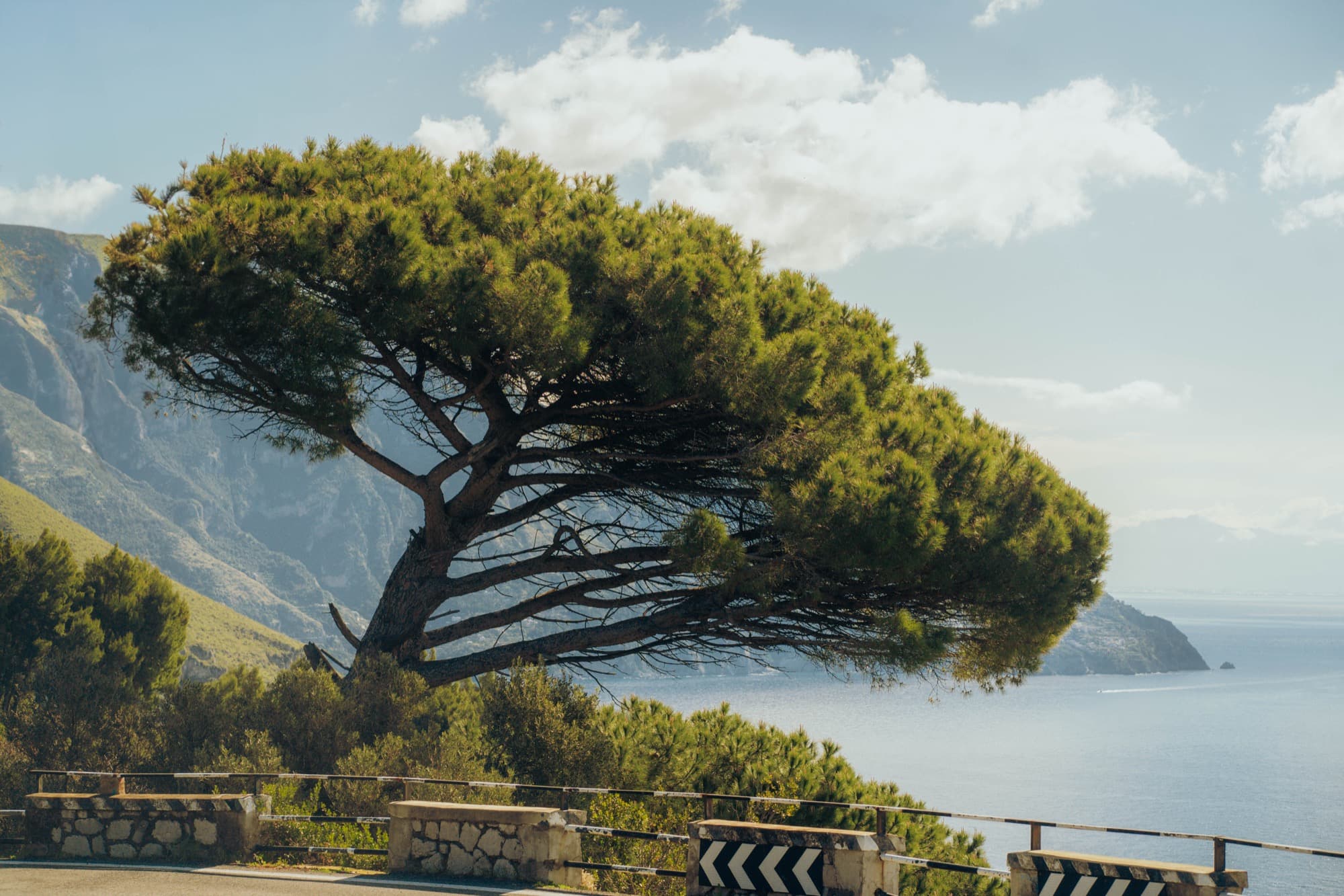 Amalfi — Personal